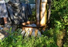 Yildiz a Palace City