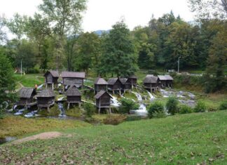 Scenes in Constantinople