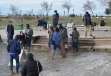 Stomatologic (Dental) Care Network