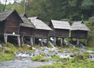 Triumphs and the Role of the Hebdomon